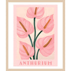 Anthurium