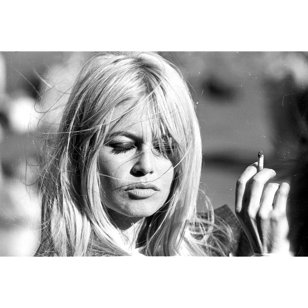 Brigitte Bardot IIII