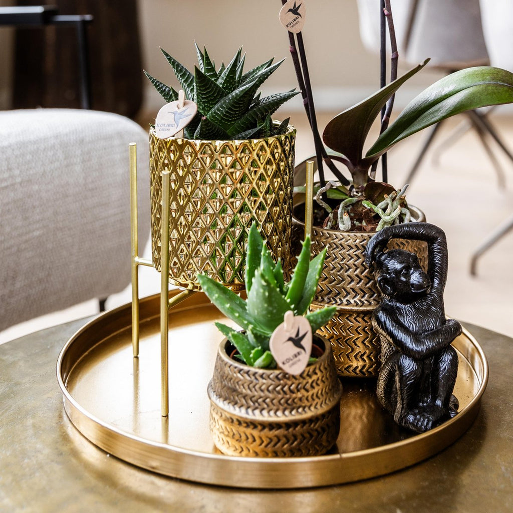 Kolibri Home | Decoratieschaal - Rond gouden dienblad Ø30cm