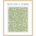 Botanica Verde