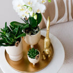 Kolibri Home | Decoratieschaal - Rond gouden dienblad Ø30cm