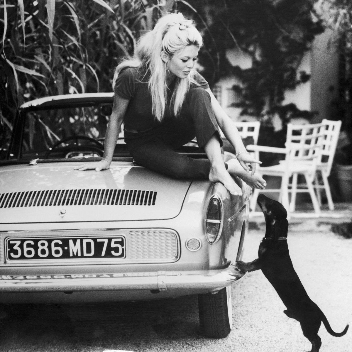 Brigitte Bardot V